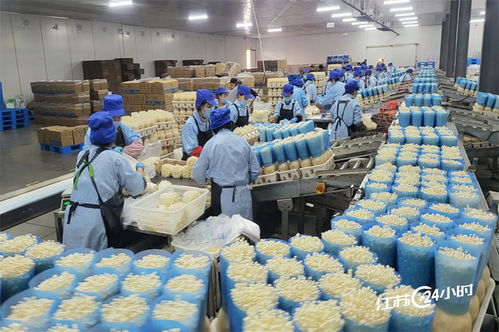 工廠化種植食用菌 規(guī)模化供應(yīng)與日用雜品市場(chǎng)的融合新機(jī)遇